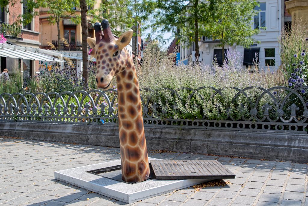 Girafe au long cou